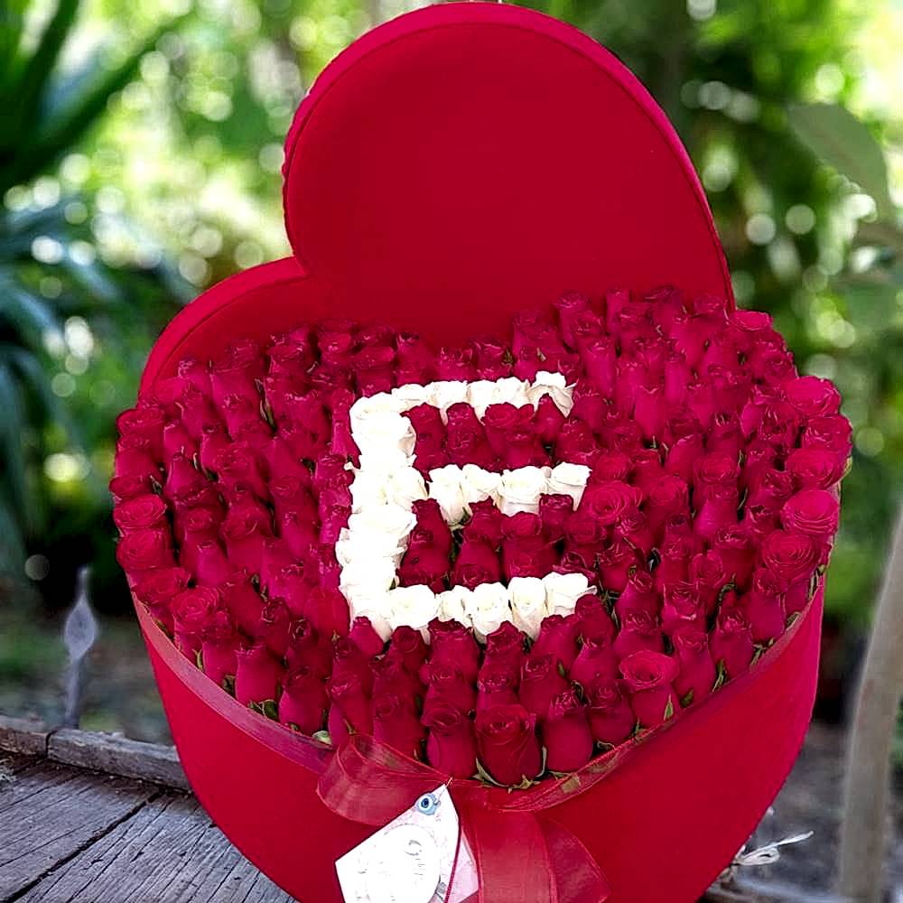 Kalpli Kırmızı Kutuda güller