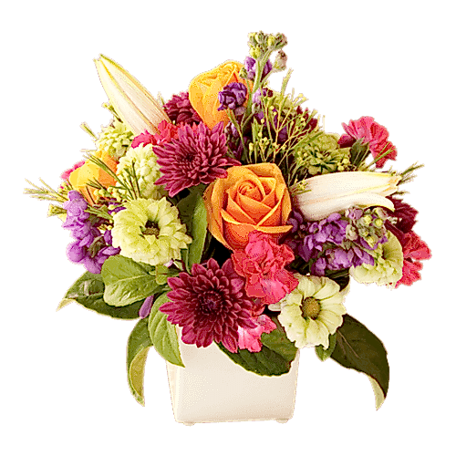 Kutu | Tasarım Aranjman