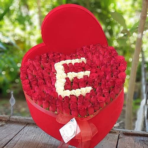 Aşk Dolu Kırmızı Güller
