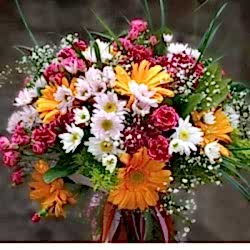 Karışık Kır Çiçekleri