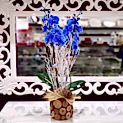 Muhteşem Mavi Orkide