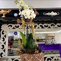 Özel Objede Beyaz Orkide